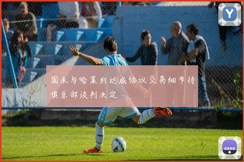 国米与哈莱利达成协议交易细节待俱乐部谈判决定